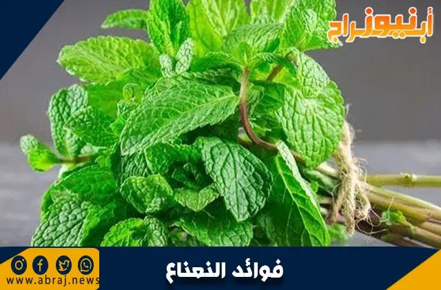 فوائد النعناع
