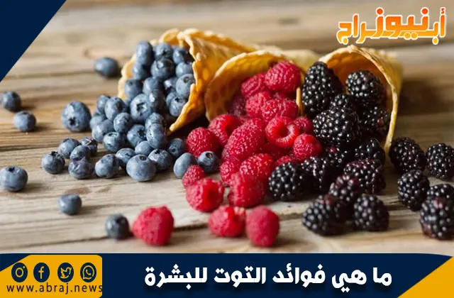 ما هي فوائد التوت للبشرة