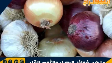 ما هي فوائد البصل والثوم للقلب