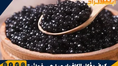 كيف يؤكل الكافيار وما هي فوائدة 2 كيف يؤكل الكافيار وما هي فوائدة