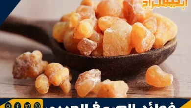 فوائد الصمغ العربي