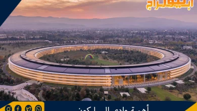 أهمية وادي السيليكون