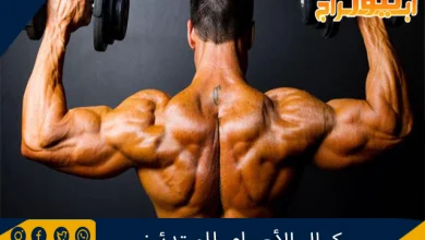 كمال الأجسام للمبتدئين 3 كمال الأجسام للمبتدئين