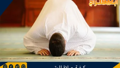 كيفية صلاة الوتر 11 كيفية صلاة الوتر