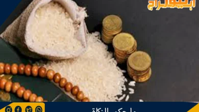 ما حكم الزكاة 8 حكم الزكاة
