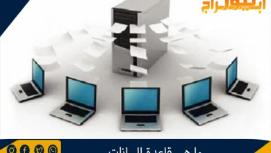 قاعدة البيانات