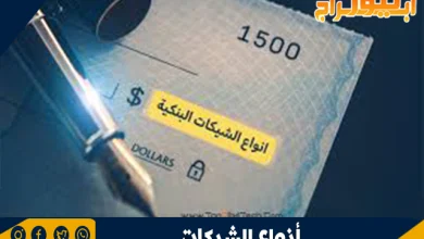 أنواع الشيكات