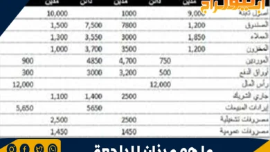 ما هو ميزان المراجعة