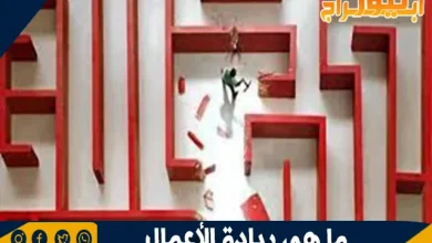 ما هي ريادة الأعمال؟ تعريفها وأهميتها في بناء مستقبل ناجح 2 ريادة الأعمال