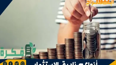 أنواع صناديق الاستثمار
