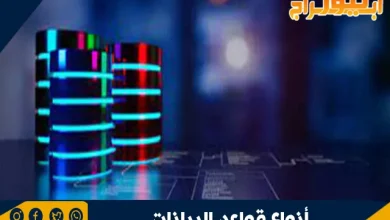 أنواع قواعد البيانات