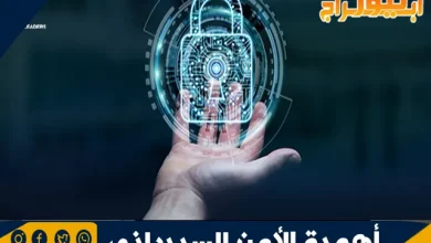 أهمية الأمن السيبراني في العصر الرقمي 5 أهمية الأمن السيبراني