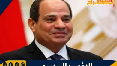 من هو الرئيس عبد الفتاح السيسي؟ 2 الرئيس عبد الفتاح السيسي
