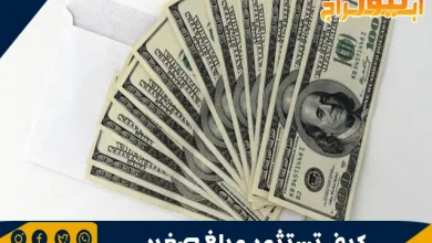 كيف تستثمر مبلغ صغير