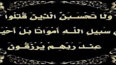 تعريف الشهيد
