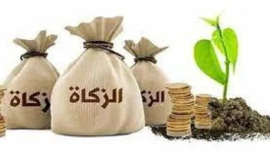 أنواع الزكاة: دليل شامل لفهم أركان الزكاة ومصارفها 6 أنواع الزكاة