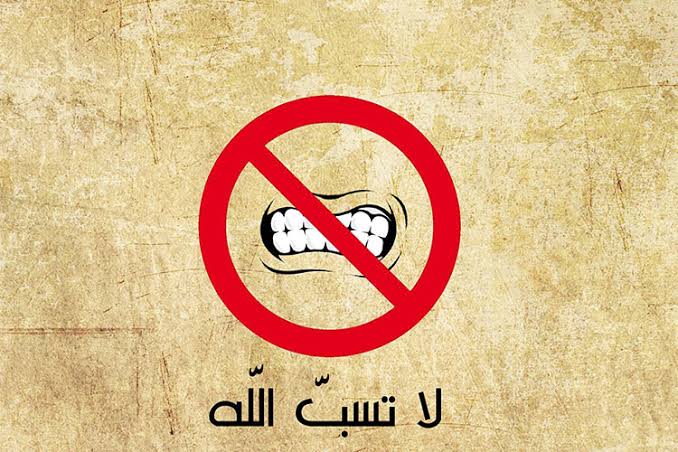 حكم سب الدين