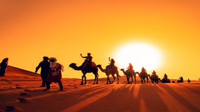 من هم قريش؟ نسبهم وتاريخهم ودورهم في الجاهلية والإسلام -ابراج نيوز 5 من هم قريش