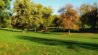 أهمية المساحات الخضراء -ابراج نيوز 12 أهمية المساحات الخضراء