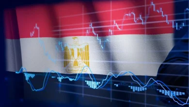الاستثمار الأجنبي