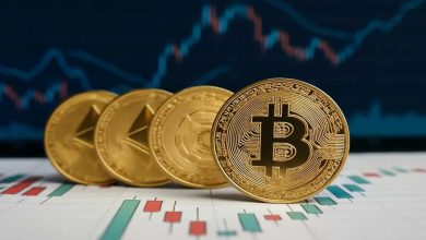 العملات الرقمية بين الفرصة والمخاطرة 6 مستقبل العملات الرقمية