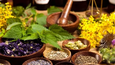 النباتات الطبية: كنز الطبيعة لعلاج الأمراض وتعزيز الصحة بطرق طبيعية وآمنة 10 النباتات الطبية