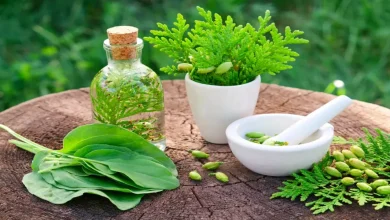 النباتات الطبية