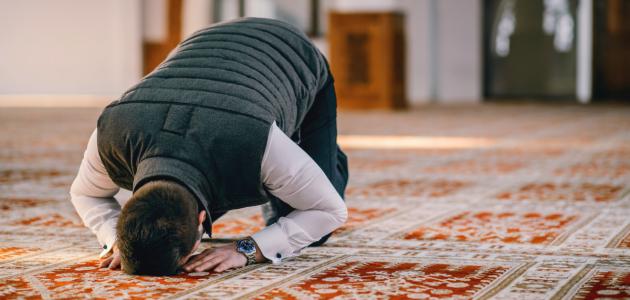 فوائد الصلاة