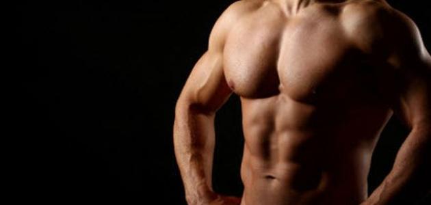 أفضل طرق بناء العضلات
