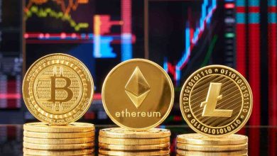 العملات الرقمية بين الفرص والمخاطر: قراءة اقتصادية واقعية 12 العملات الرقمية
