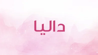 190526083655707