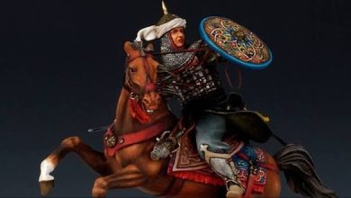 قصة الملك العادل سيف الدين أبو بكر بن أيوب سيرة 12 images 25 5