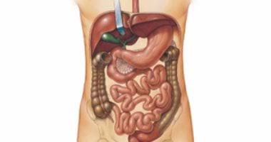 images 32
