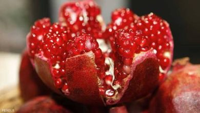 images 62