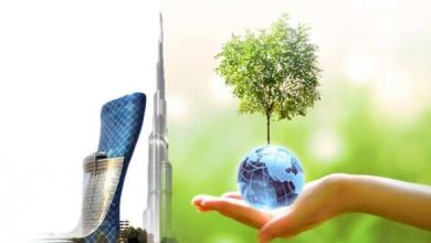 الاقتصاد الأخضر: هل هو فرصة استثمارية واعدة أم فقاعة جديدة؟ 10 images 8 1