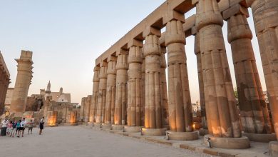 الصناعة السياحية 4 14281920163 af4176b6dc k e1595149047505 1