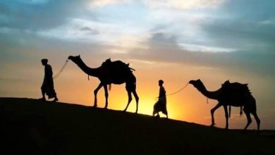 قصة الهجرة النبوية 7 images 18