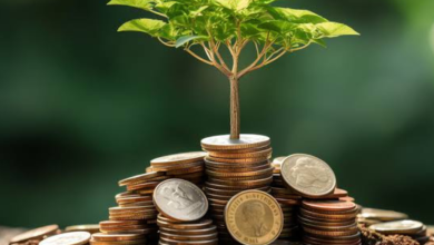 تحسين مهارات التوفير والادخار وأهمية خطط التوفير 6 تصميم بدون عنوان 20260518 204520 ٠٠٠٠