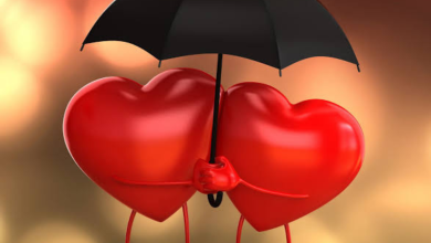تصميم بدون عنوان 20260606 194120 ٠٠٠٠