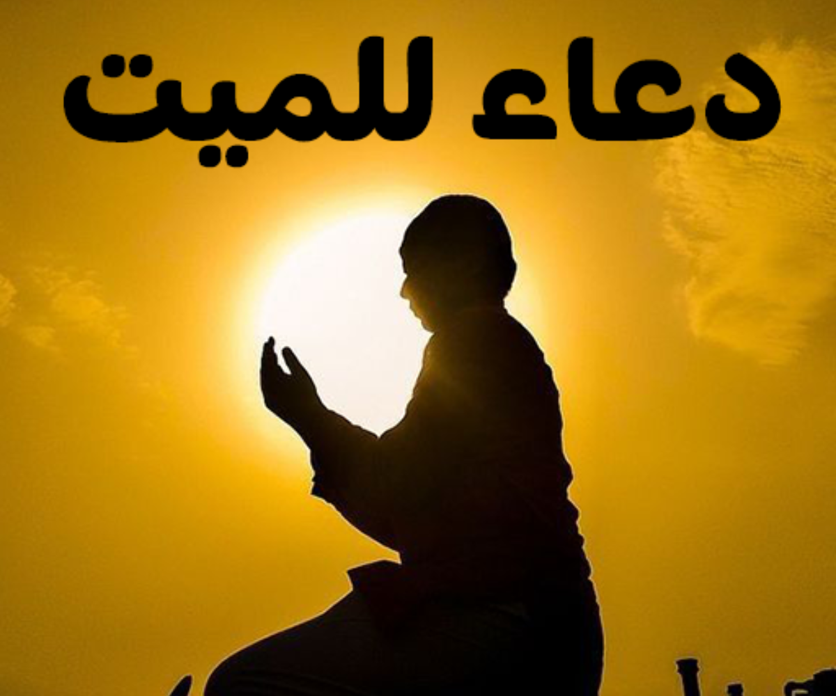 تصميم بدون عنوان 20260609 215818 ٠٠٠٠