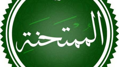 تصميم بدون عنوان 20260707 222520 ٠٠٠٠